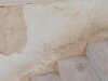 IMG-20250615-WA0061