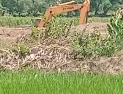 Screenshot_20250914_113334_Gallery