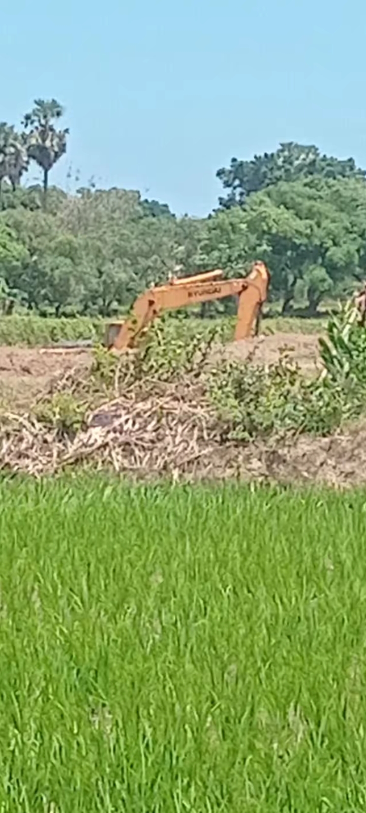 Screenshot_20250914_113334_Gallery