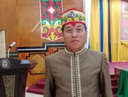 WhatsApp-Image-2025-10-30-at-17.14.45_a5457e73-e1761815914256-800x440-1